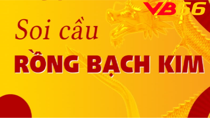 soi cầu 247 rồng bạch kim