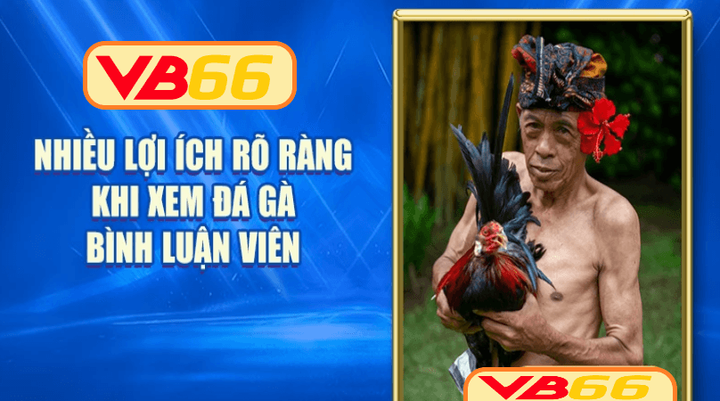 Cách Thức Tham Gia Đá Gà Trực Tiếp Tại VB66